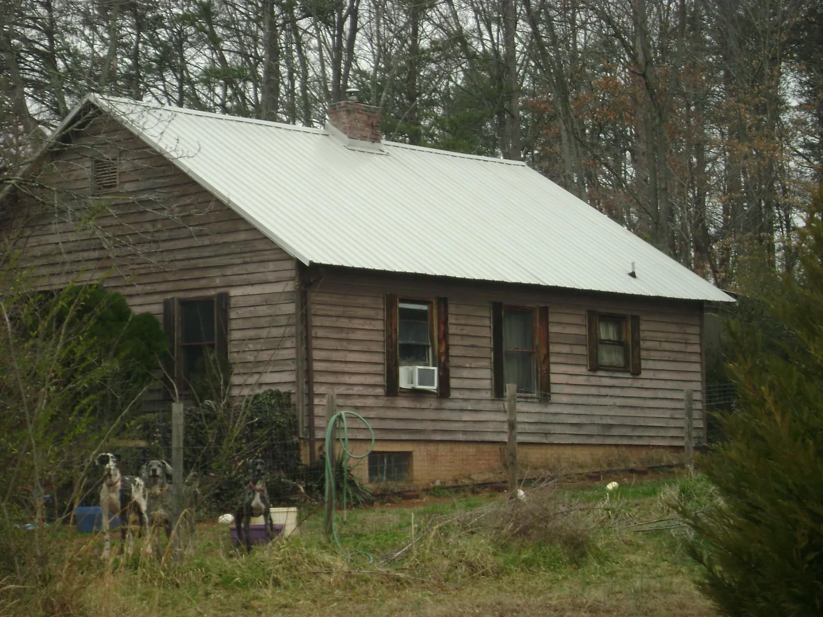 White metal roof on an old wood sided farmhouse, from a Asphalt Shingle Roof Repair job in Sawyer